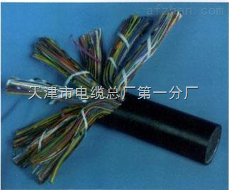 天津市電纜總廠第一分廠 專業(yè)打造礦用通信電纜，保障井下配線與用戶線路穩(wěn)定可靠